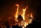 希腊埃维亚岛发生特大森林火灾 烧焦味弥漫到雅典